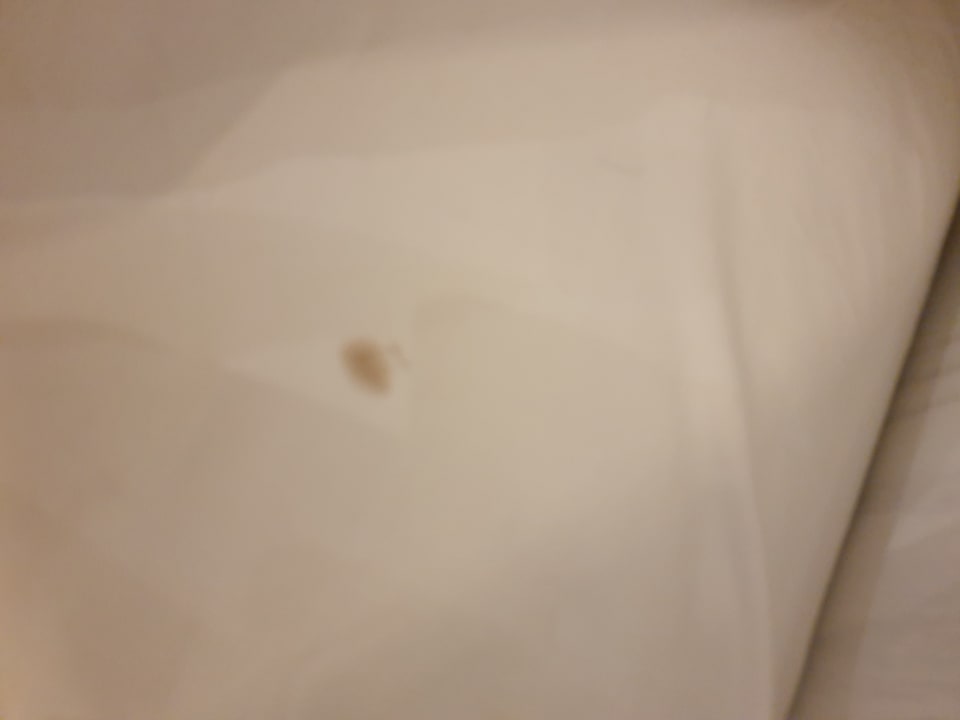 Zimmer The Grand Palace - Adults only