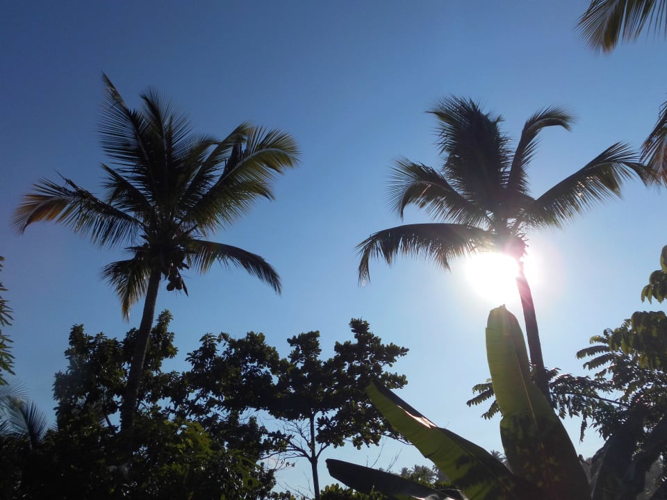 Ausblick Ozeanic Caribbean Hotel Apartment