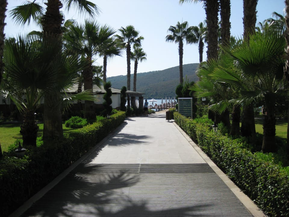 Weg von der Lobby zum Strand Green Bay Resort & Spa