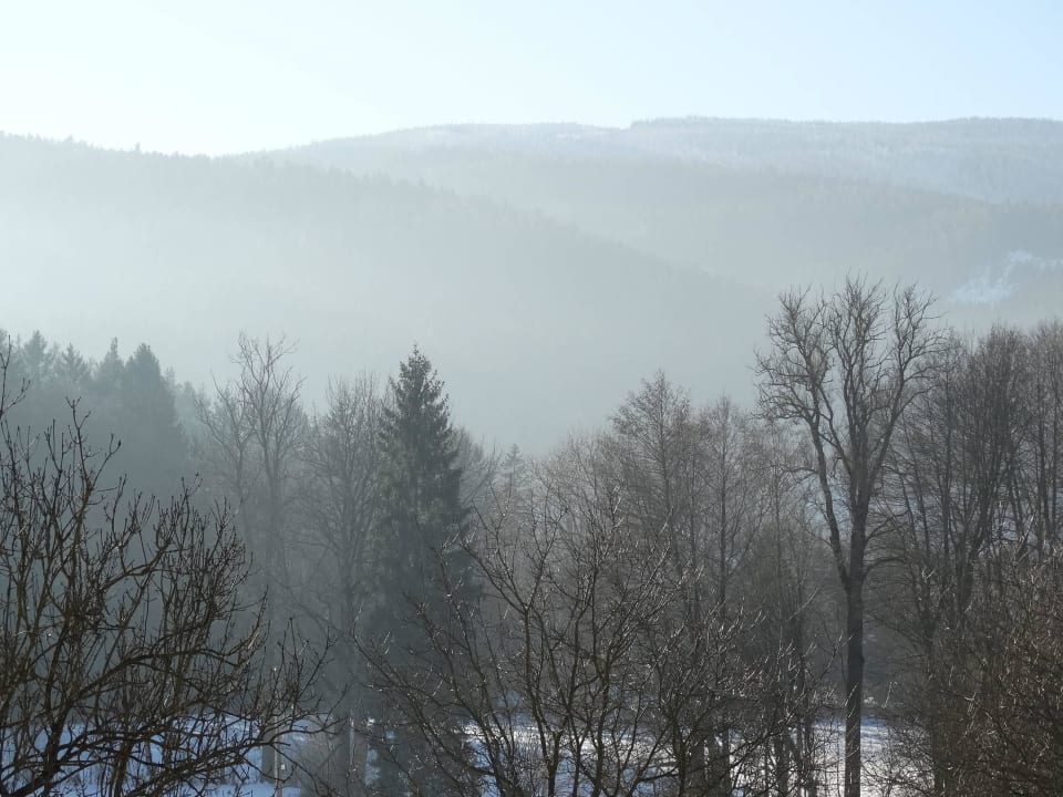 Zimmerausblick 2. Stock Naturhotel Molzbachhof