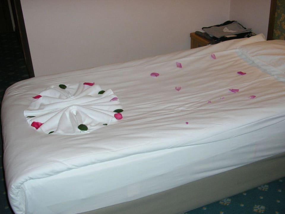 So wird man empfangen Miramare Queen Hotel