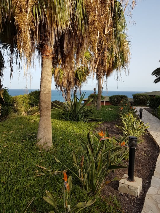 Gartenanlage Marina Playa Suite Hotel