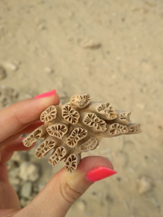 Plaża Three Corners Equinox Beach Resort