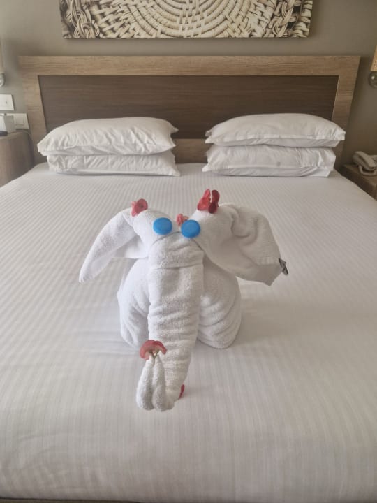 Zimmer Steigenberger Resort Ras Soma