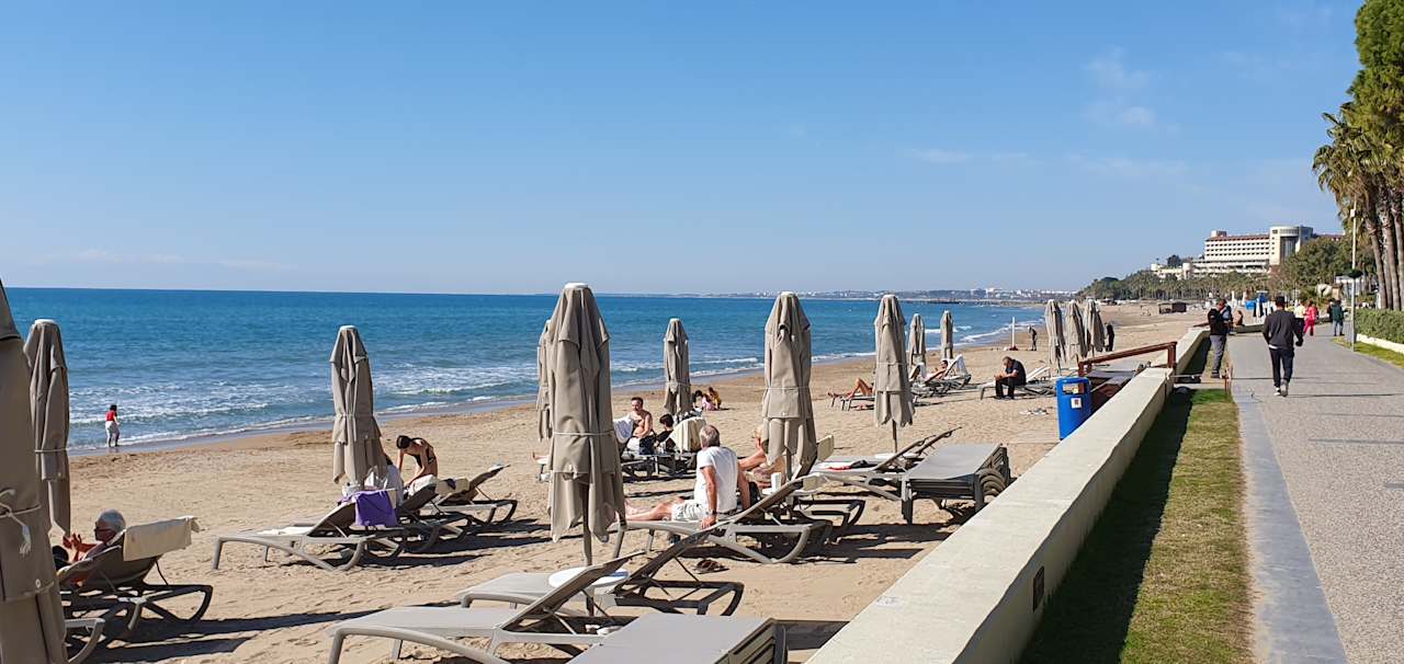 Strand Acanthus Cennet Barut Collection