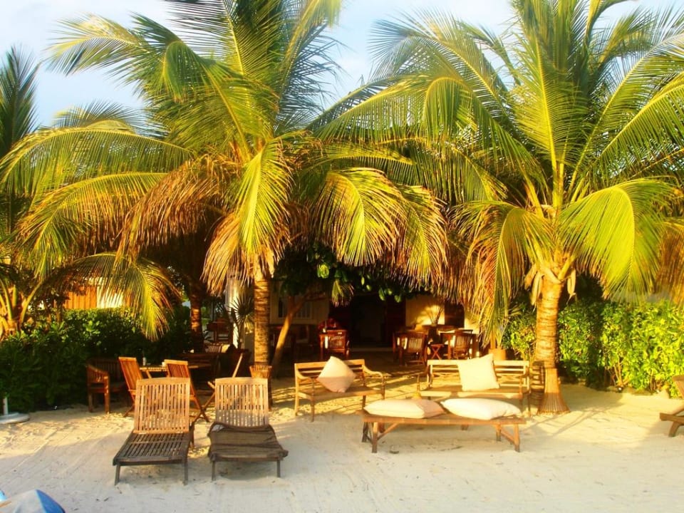 Posada Caracol on the beach! Posada Caracol Los Roques