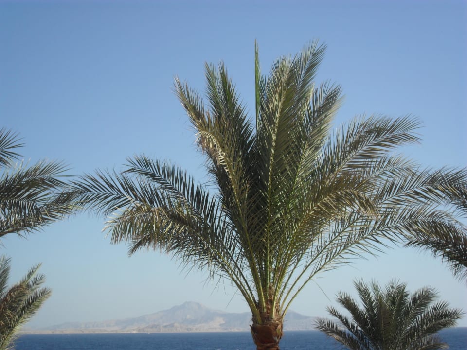 Palma Hotel Nubian Village