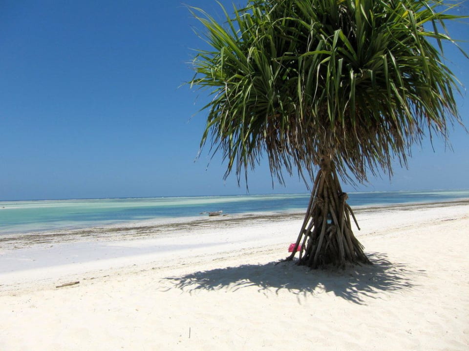 Einfach herlich Neptune Pwani Beach Resort & Spa