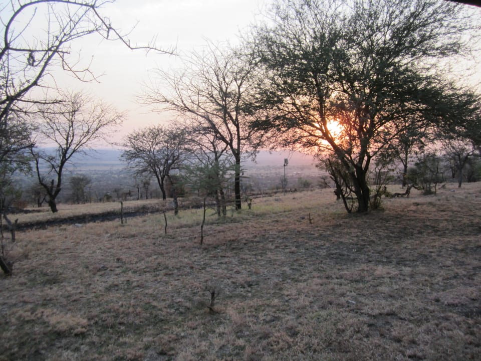 Ausblick Serengeti Serena Safari Lodge