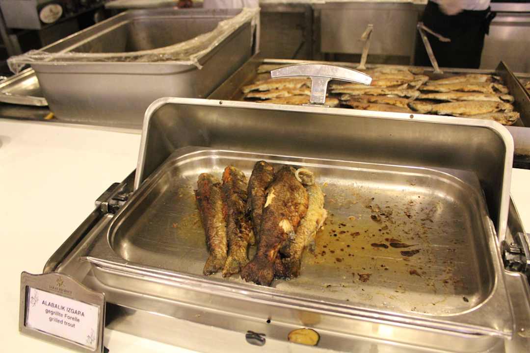 Ryby Asteria Collection Side