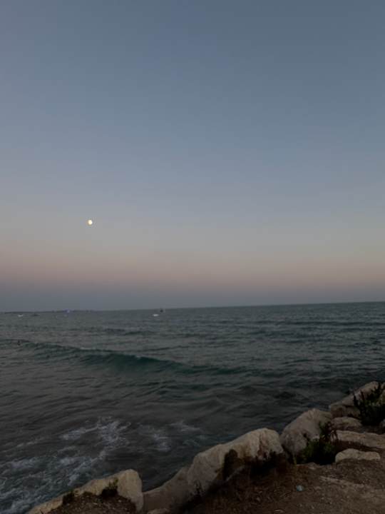 Strand Aydinbey Kings Palace & Spa