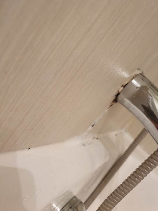 Zimmer Olympian Bay Grand Resort