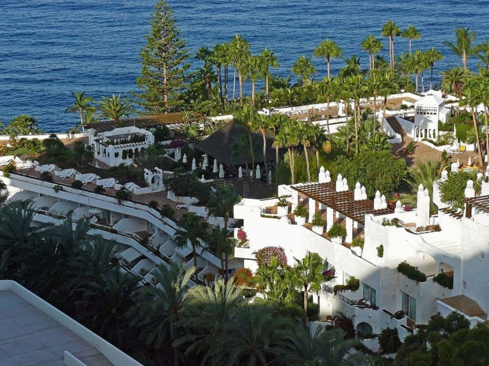 Jardin Tropical Dreams Jardín Tropical