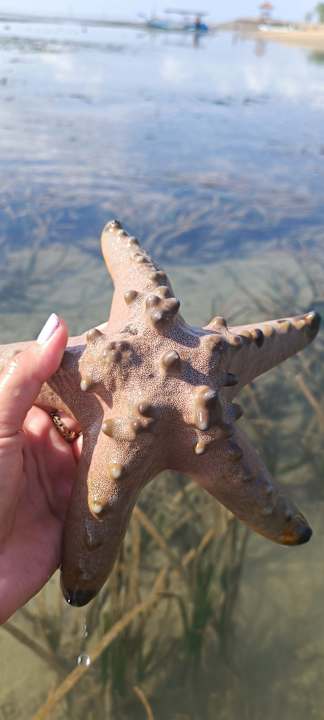 Strand Sanur Resort Watujimbar