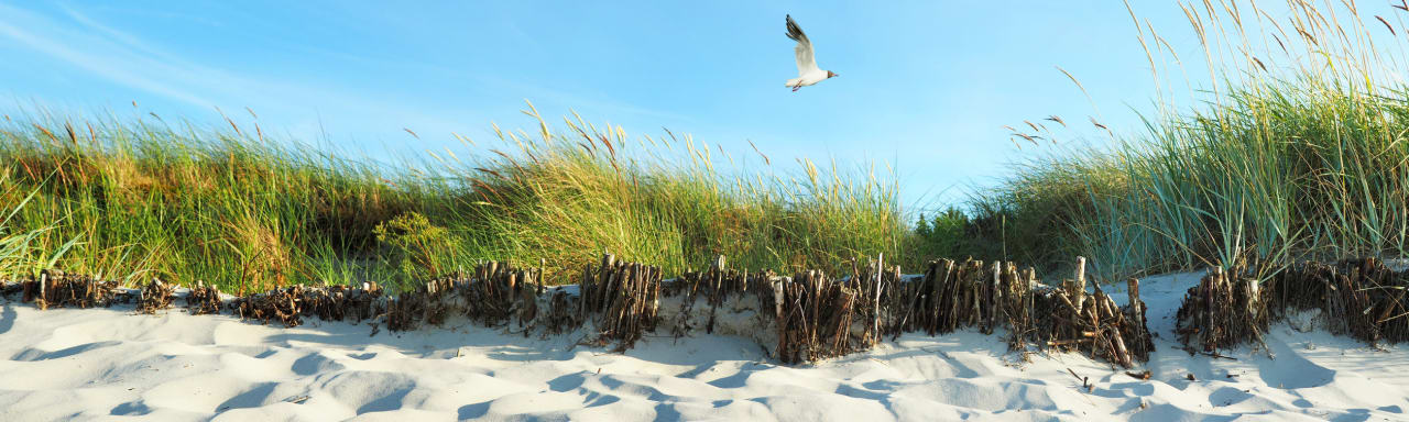 Strand Ostsee Ferienkolonie