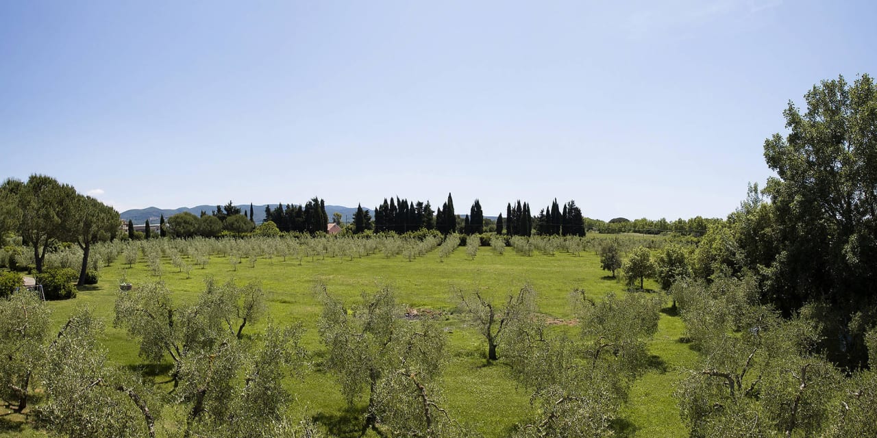 Around us Hotel Residence Casale Etrusco