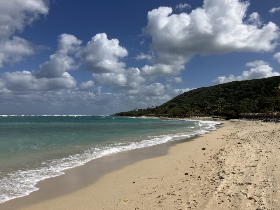 Strand Starfish Jibacoa