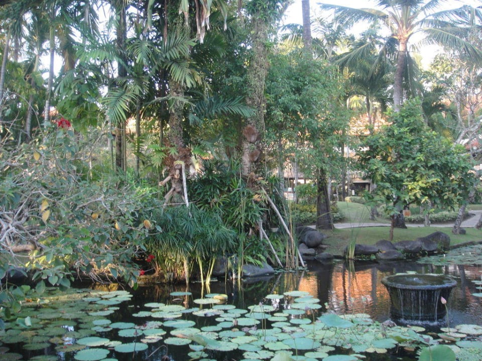 The garden The Royal Beach Seminyak Bali - MGallery Collection