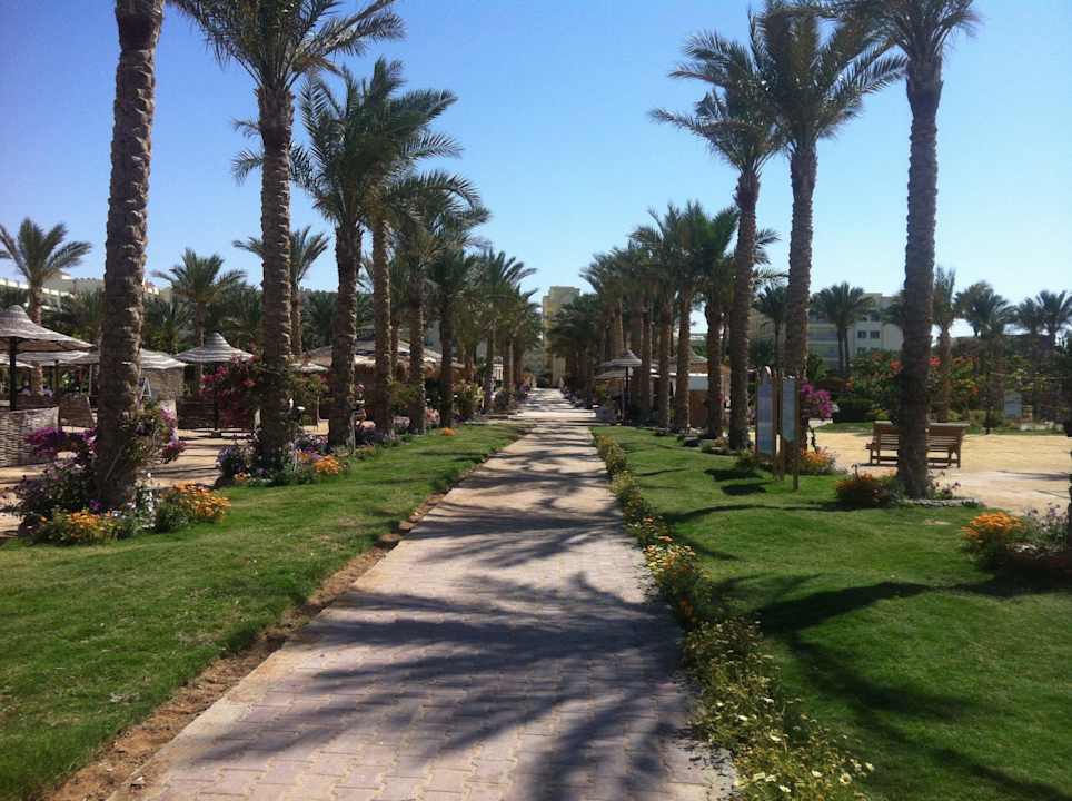 Дорога к отелю Riviera Aqua Park Resort