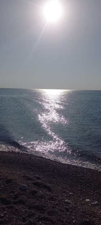 Zimmer Asterias Beach Resort