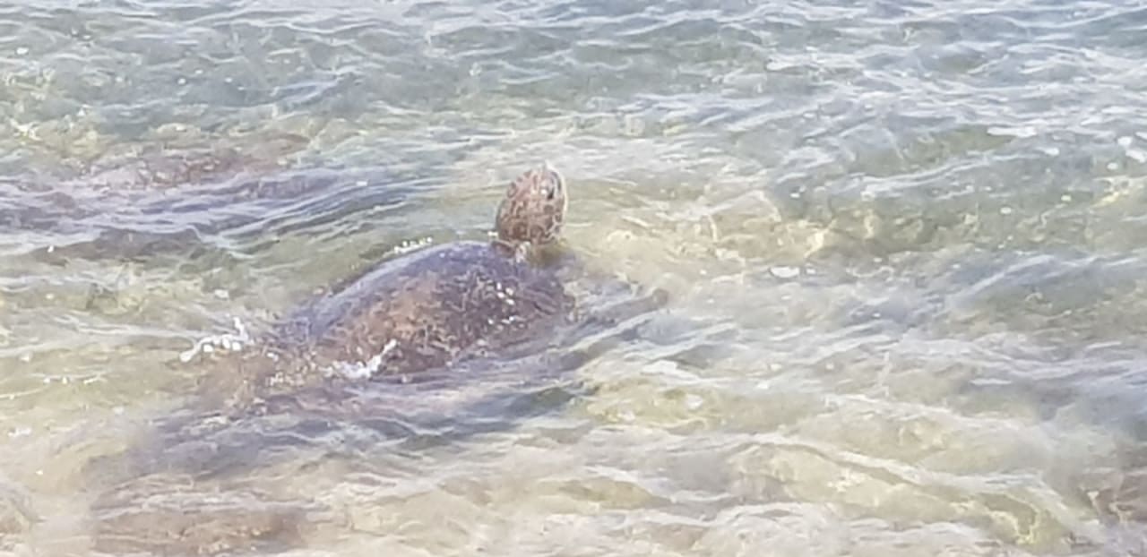 Strand Dickwella Resort & Spa