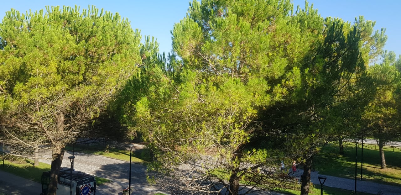 Ausblick Residenza delle Terme