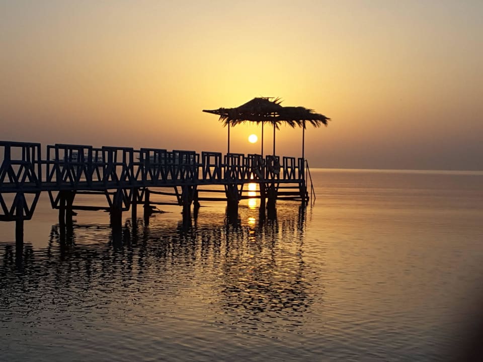 Sonnenaufgang mit Steg Menaville Safaga