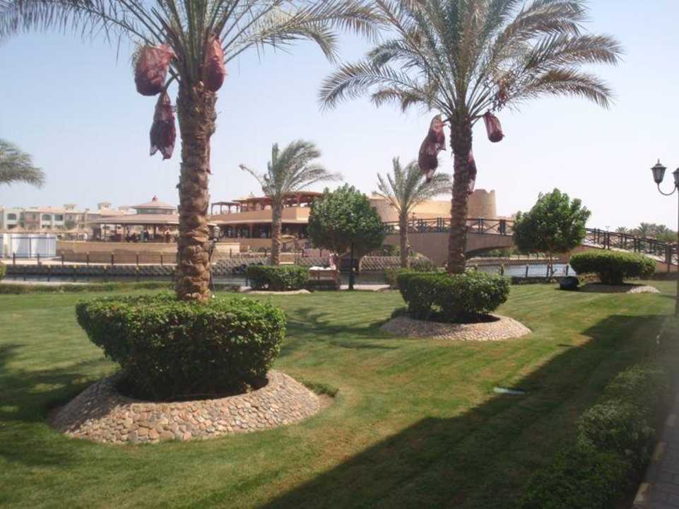 Ogród Pickalbatros Dana Beach Resort - Hurghada