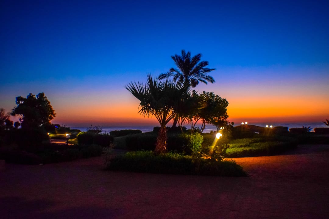 Gartenanlage Three Corners Equinox Beach Resort