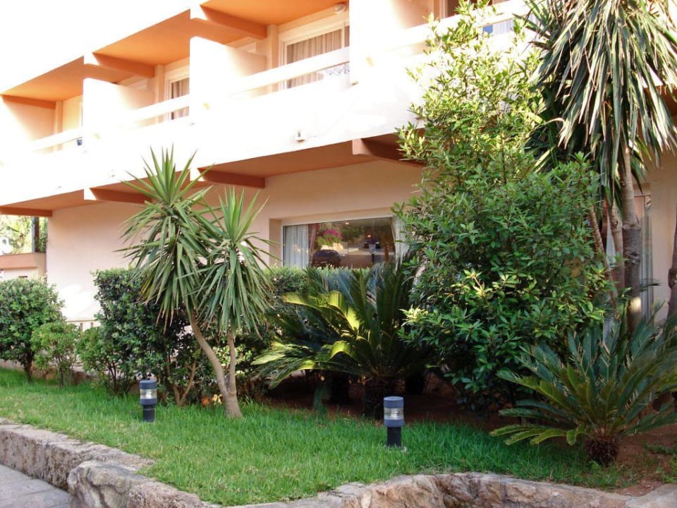 Anbau Valentin Reina Paguera