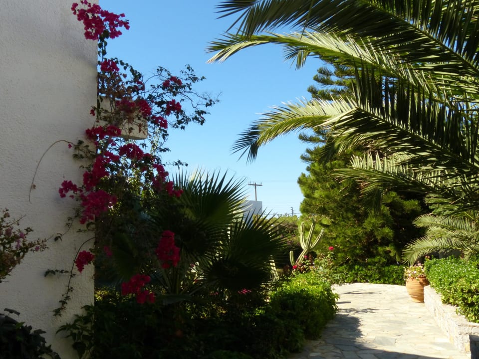 Wege zwischen den Bungalows Sentido Kyknos Beach Adults Only 16+