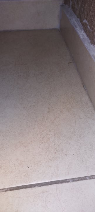 Zimmer Well Palace Side