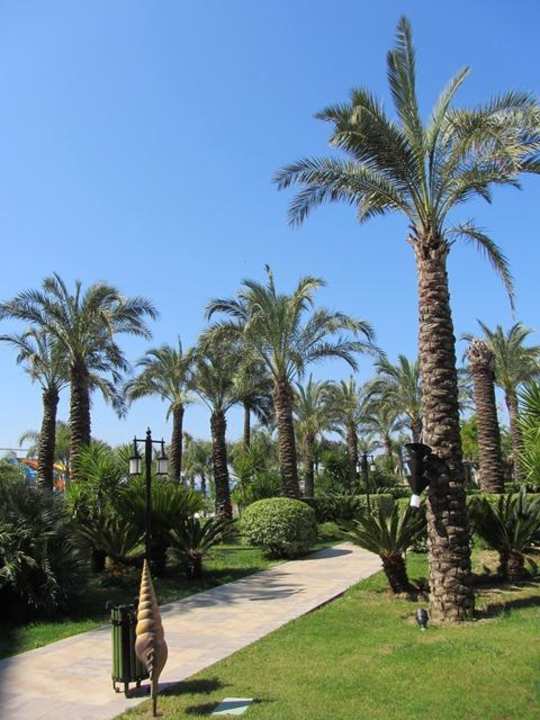 Pool und Garten Sunis Kumköy Beach Resort Hotel & Spa