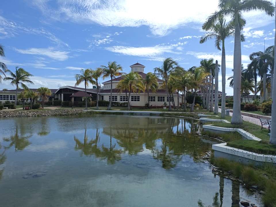 Pool Iberostar Origin Playa Alameda
