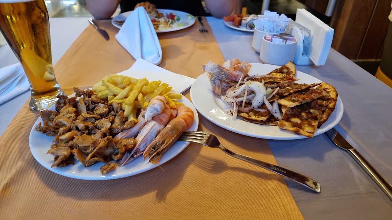 Gastro Seashell Vega