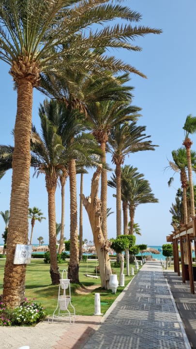 Strand Meraki Resort (Adults Only)