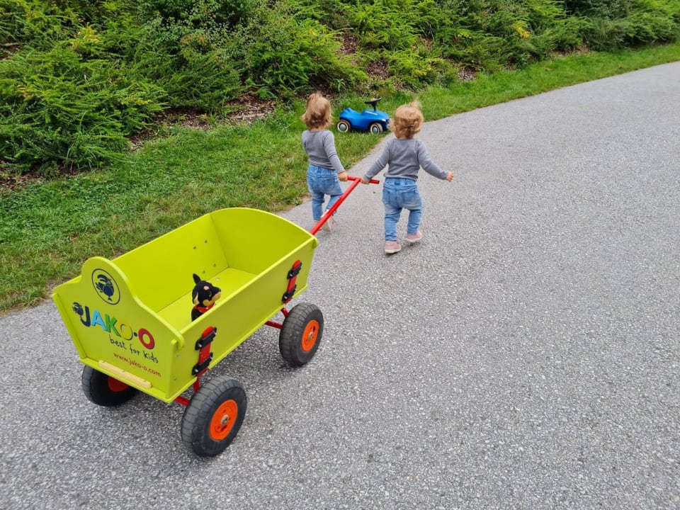 Gartenanlage Dachsteinkönig - Familux Resort