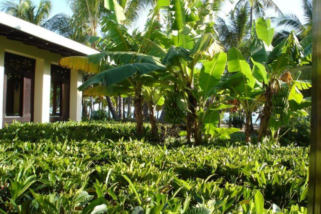 Speisesaal Playabachata Hotel