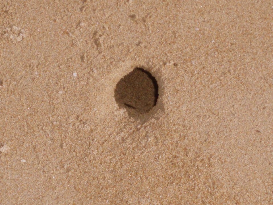 Na ja Khaolak Orchid Beach Resort