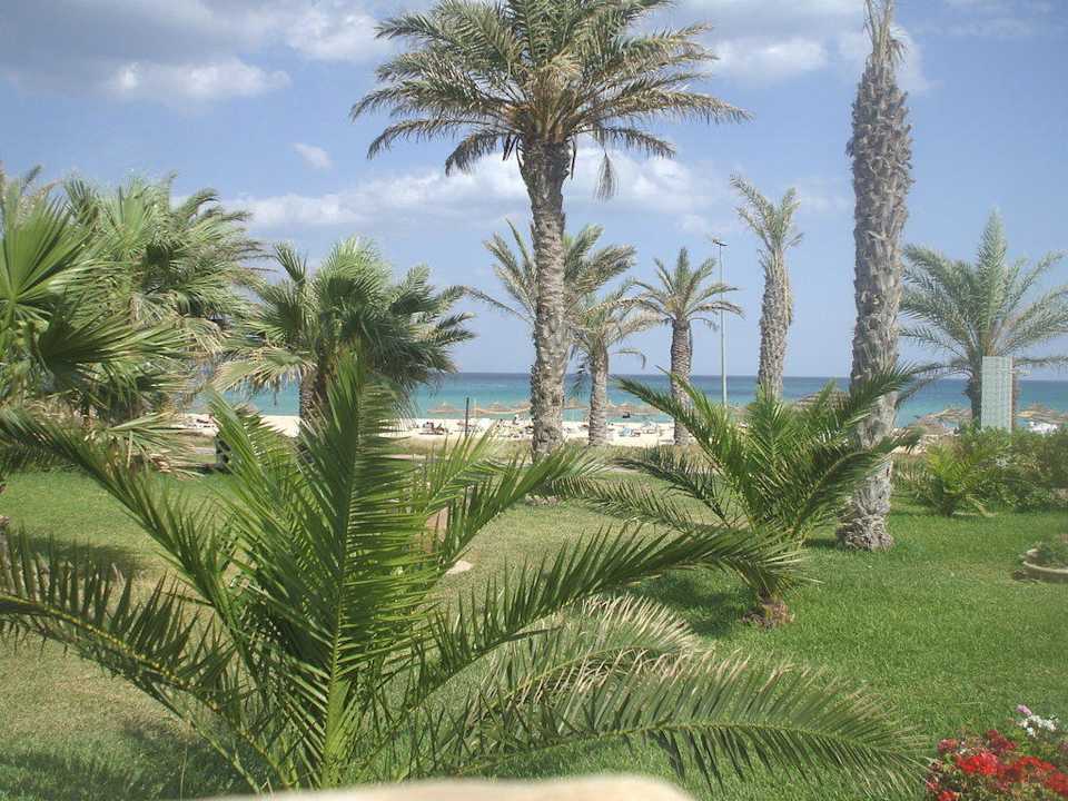 Tolle Sicht Dar Khayam