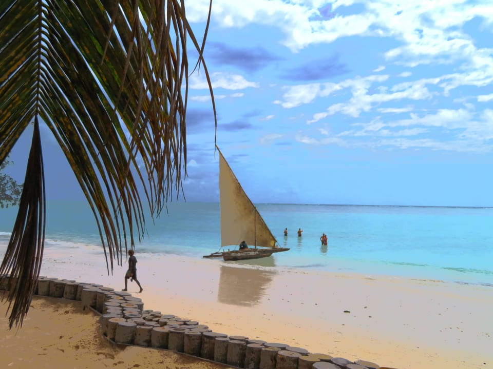 Blick zum Meer TUI Blue Bahari Zanzibar