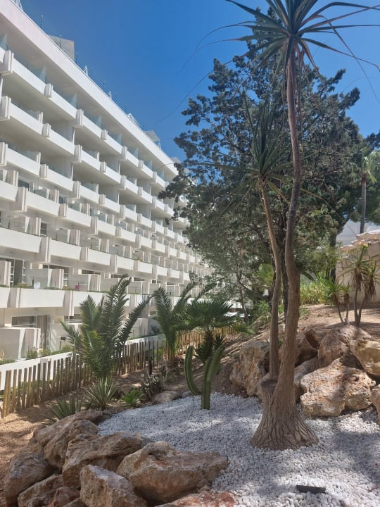 "Gartenanlage" allsun Hotel Bella Paguera (Peguera) • HolidayCheck