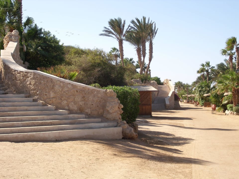 Treppe zum Zimmer Block 5 Pickalbatros Citadel Resort