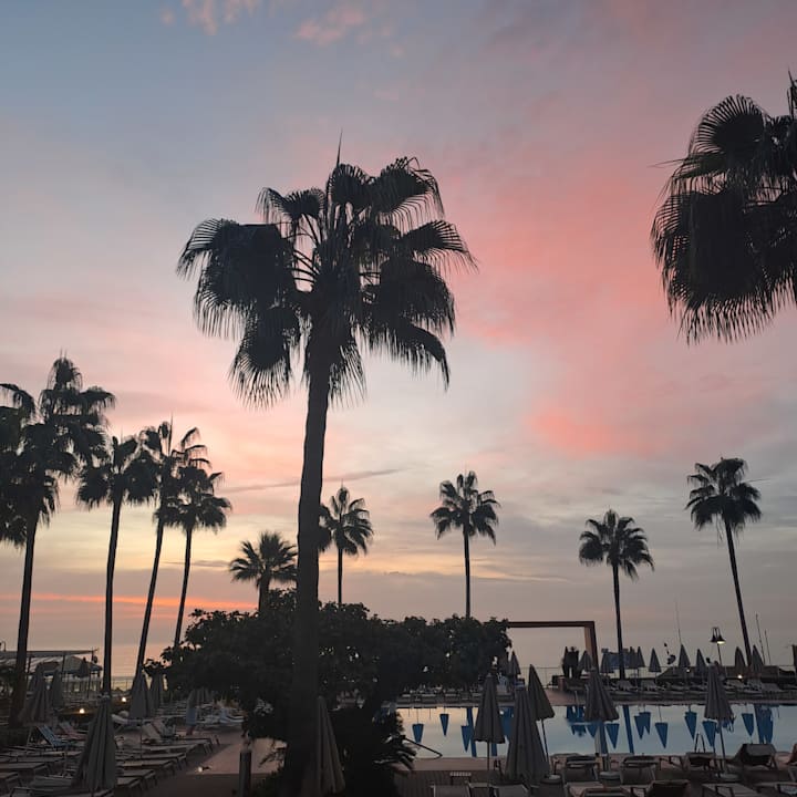 Gartenanlage Hotel Riu Nautilus - Adults only