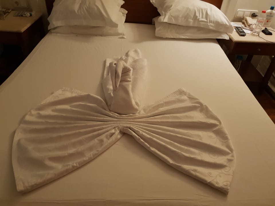 Zimmer Alba Queen Hotel