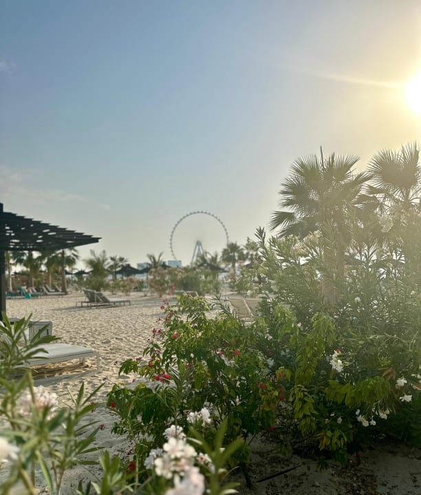 Strand Le Royal Méridien Beach Resort & Spa Dubai