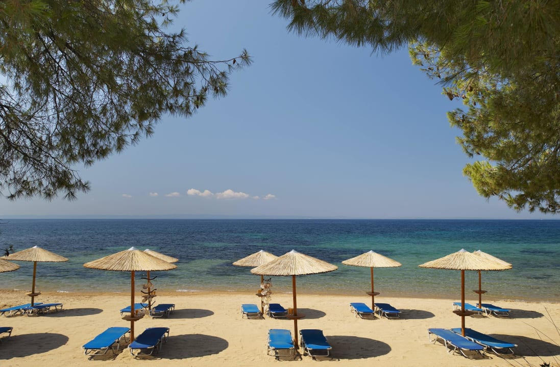Hoteleigener Strand  Blue Dolphin Resort Hotel