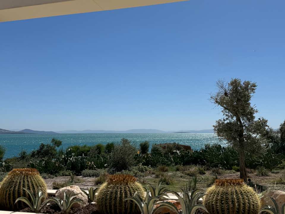 Ausblick Anda Barut Collection