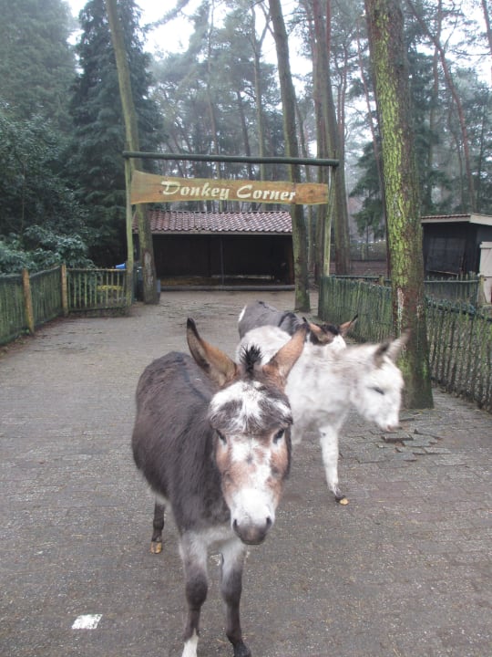 Bauernhof Center Parcs De Kempervennen