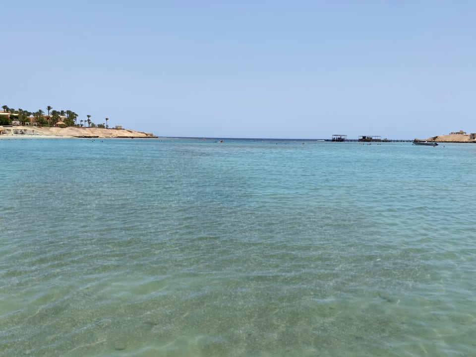 Strand Steigenberger Resort Alaya Marsa Alam - Red Sea - Adults only